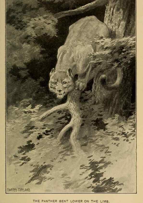 Reproducción/Reproduction 7261626576: Stories of the good green wood,. New York,T.Y. Crowell & co.,1904.