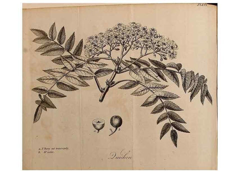 Reproducción/Reproduction 7255580994: The woodland companion;. London,Baldwin, Cradock and Joy [etc.]1815.