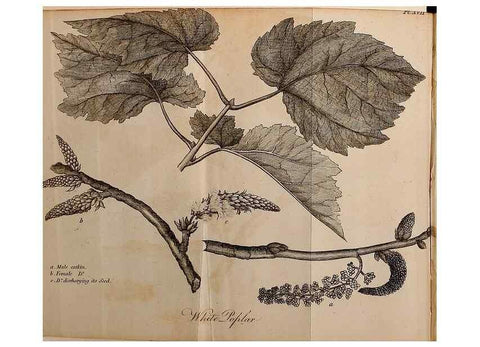 Reproducción/Reproduction 7255582234: The woodland companion;. London,Baldwin, Cradock and Joy [etc.]1815.