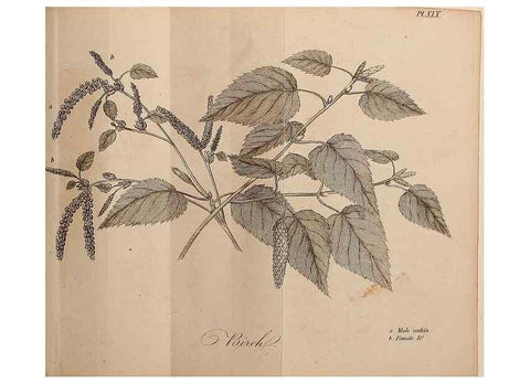 Reproducción/Reproduction 7255584128: The woodland companion;. London,Baldwin, Cradock and Joy [etc.]1815.