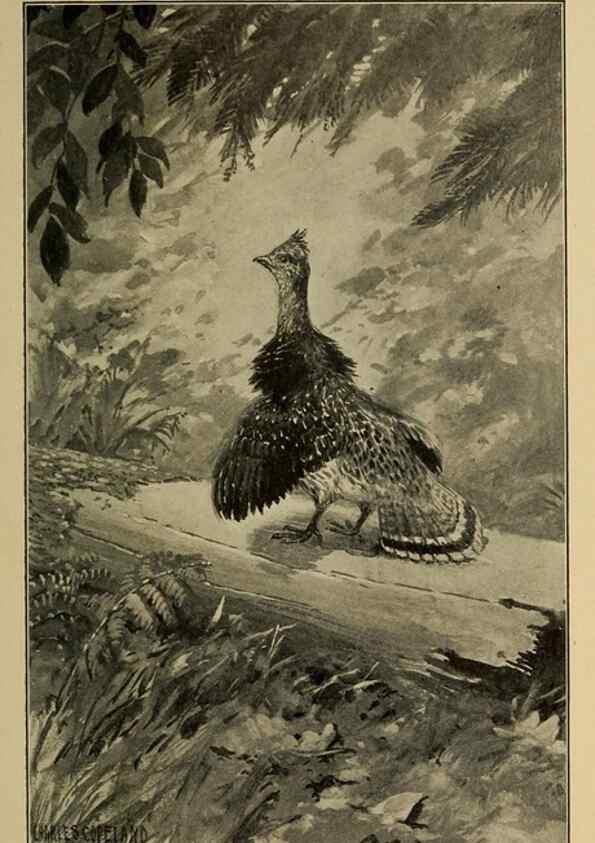 Reproducción/Reproduction 7261620990: Stories of the good green wood,. New York,T.Y. Crowell & co.,1904.