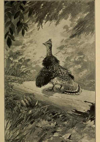 Reproducción/Reproduction 7261620990: Stories of the good green wood,. New York,T.Y. Crowell & co.,1904.