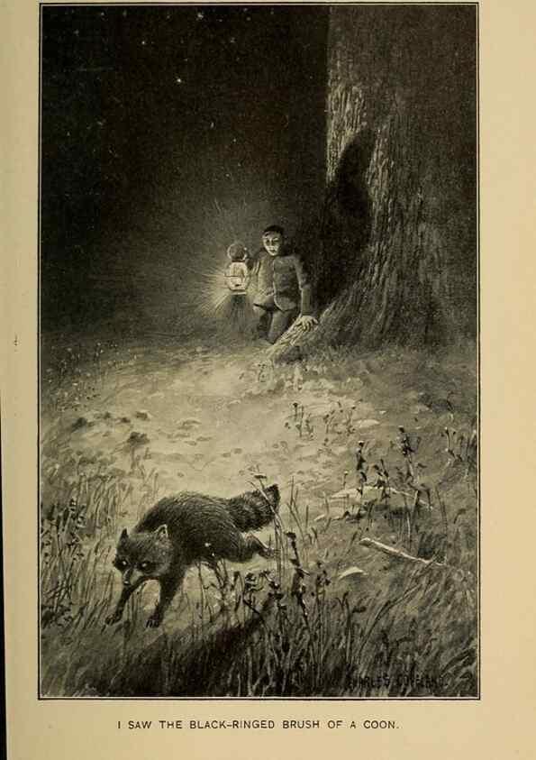 Reproducción/Reproduction 7261621844: Stories of the good green wood,. New York,T.Y. Crowell & co.,1904.