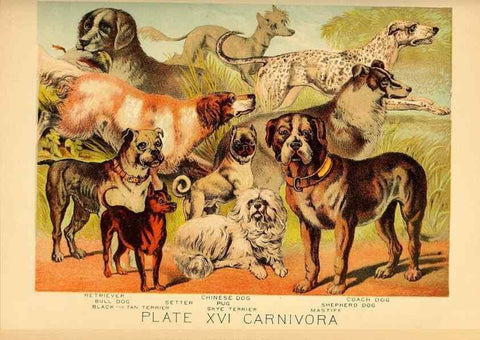 Reproducción/Reproduction 7268642682: Johnson's household book of nature,. New York,H.J.Johnson,[1880]