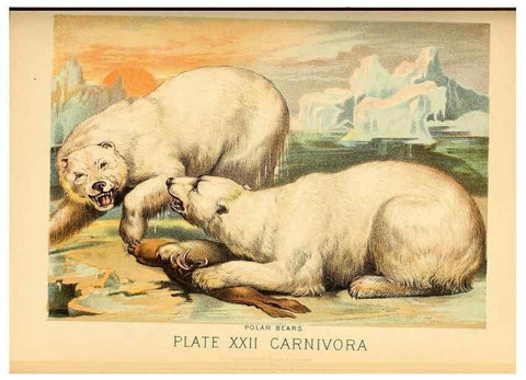 Reproducción/Reproduction 7268647914: Johnson's household book of nature,. New York,H.J.Johnson,[1880]