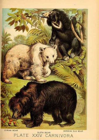 Reproducción/Reproduction 7268652028: Johnson's household book of nature,. New York,H.J.Johnson,[1880]