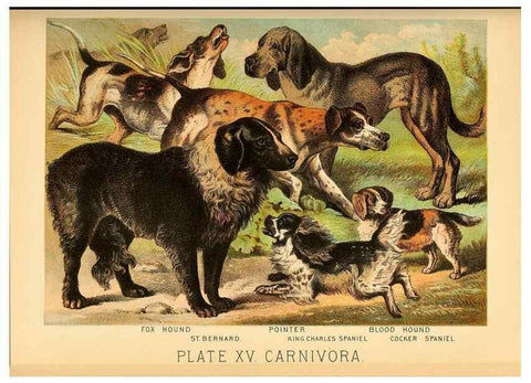 Reproducción/Reproduction 7268641524: Johnson's household book of nature,. New York,H.J.Johnson,[1880]