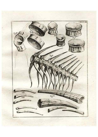 Reproducción/Reproduction 7216162802: De corporibus marinis lapidescentibus quæ defossa reperiuntur /. Romæ, :Ex typographia linguarum oridentalium Angeli Rotilii, et Philippi Bacchelli in ædibus maximorum.,1752.