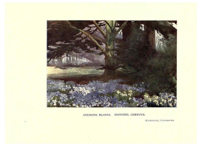Reproducción/Reproduction 6285787515: Garden colour London,E. P. Dutton & company,1905