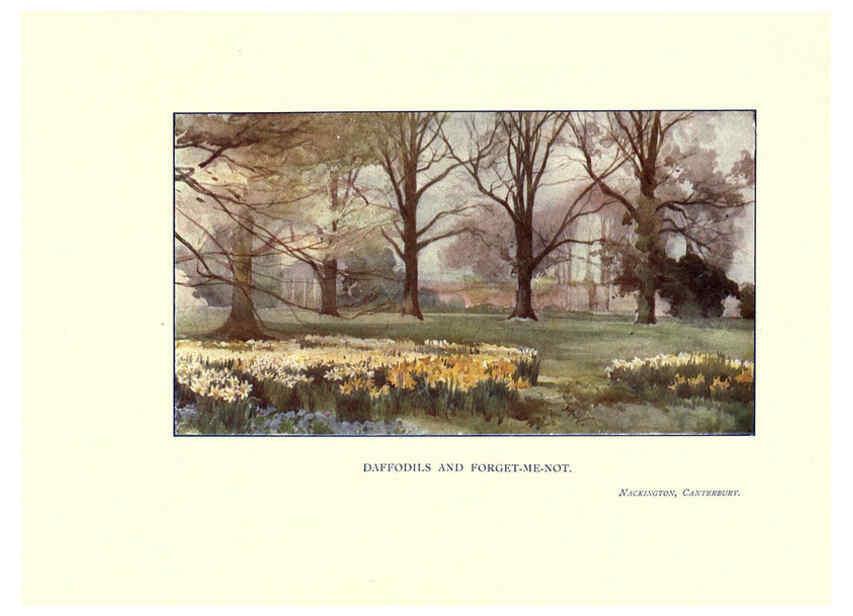 Reproducción/Reproduction 6285787653: Garden colour London,E. P. Dutton & company,1905