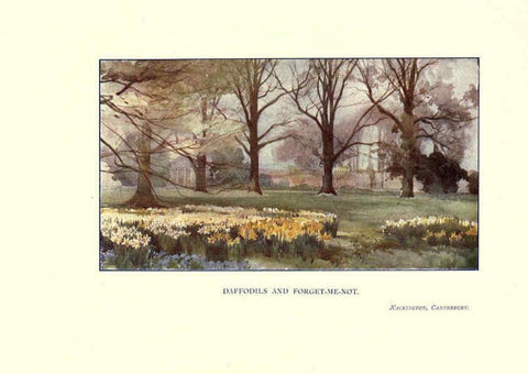 Reproducción/Reproduction 6285787653: Garden colour London,E. P. Dutton & company,1905