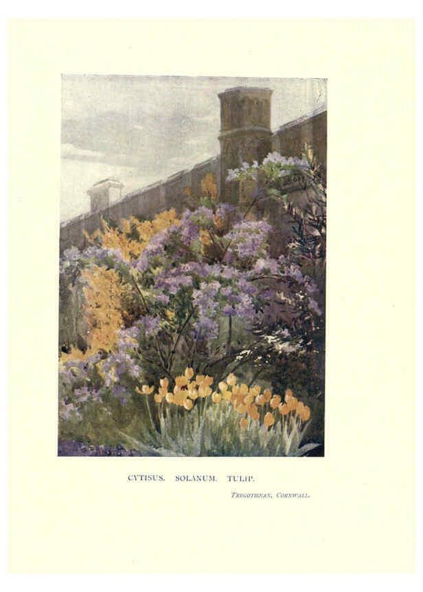 Reproducción/Reproduction 6285788573: Garden colour London,E. P. Dutton & company,1905