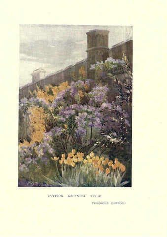 Reproducción/Reproduction 6285788573: Garden colour London,E. P. Dutton & company,1905
