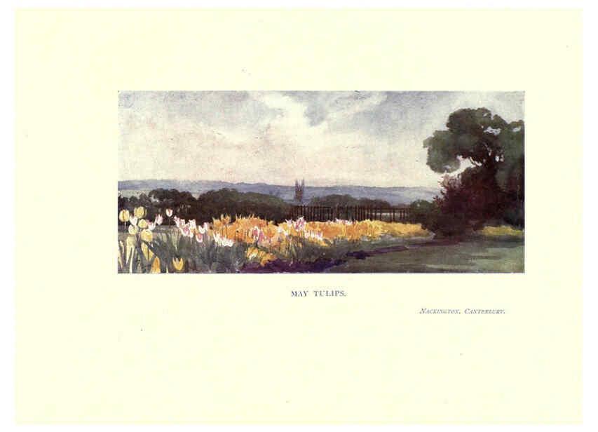 Reproducción/Reproduction 6285788737: Garden colour London,E. P. Dutton & company,1905