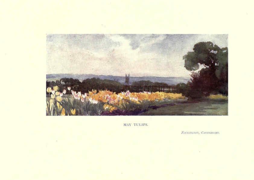Reproducción/Reproduction 6285788737: Garden colour London,E. P. Dutton & company,1905