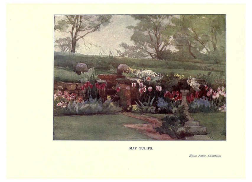 Reproducción/Reproduction 6285788887: Garden colour London,E. P. Dutton & company,1905