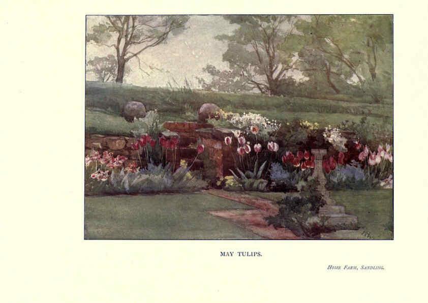 Reproducción/Reproduction 6285788887: Garden colour London,E. P. Dutton & company,1905