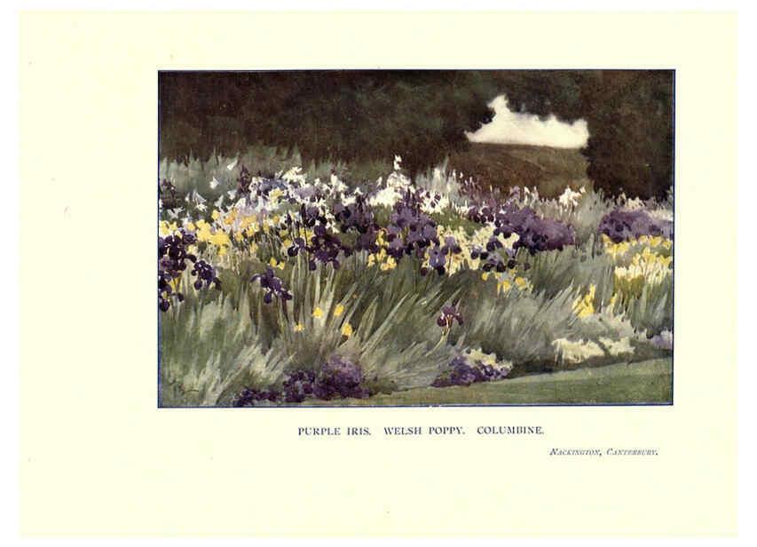 Reproducción/Reproduction 6285789277: Garden colour London,E. P. Dutton & company,1905
