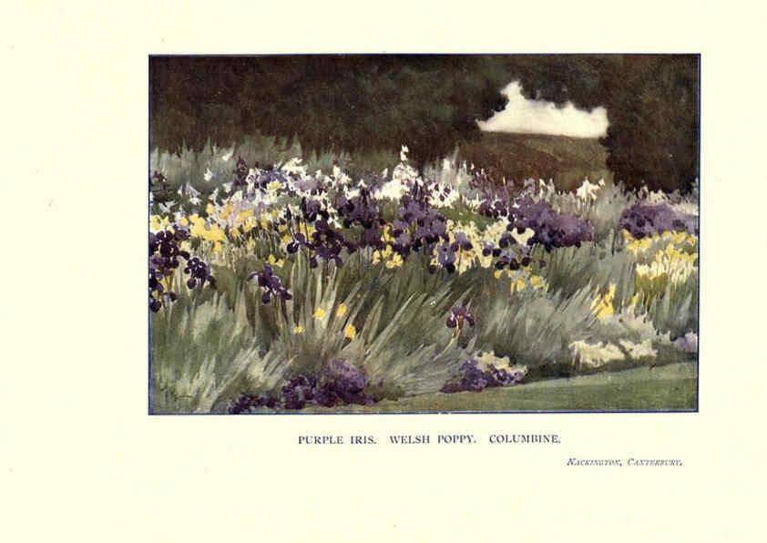 Reproducción/Reproduction 6285789277: Garden colour London,E. P. Dutton & company,1905