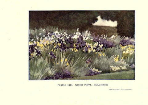 Reproducción/Reproduction 6285789277: Garden colour London,E. P. Dutton & company,1905
