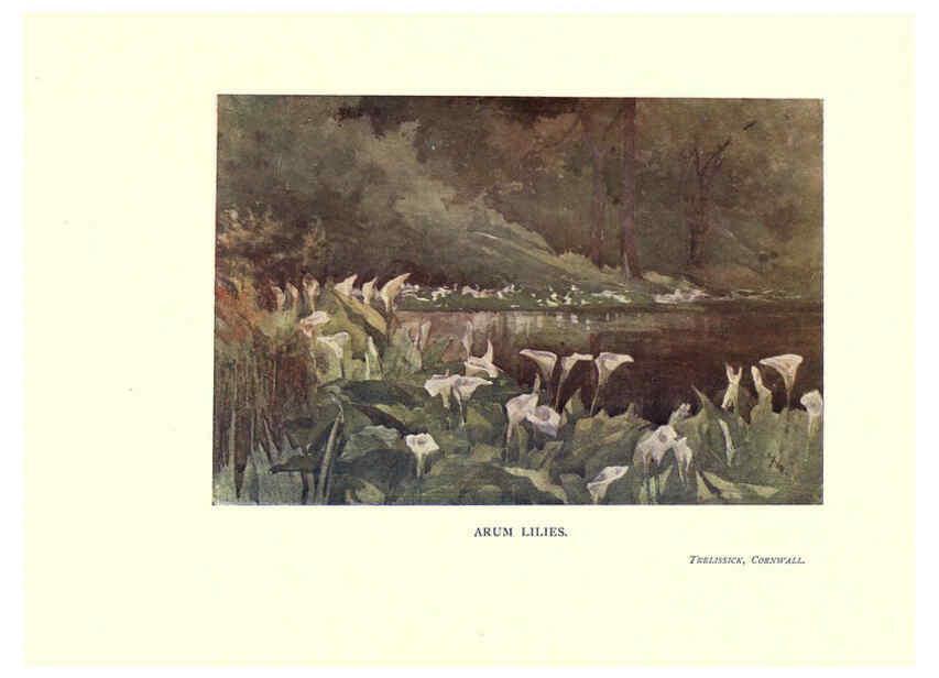Reproducción/Reproduction 6286310634: Garden colour London,E. P. Dutton & company,1905