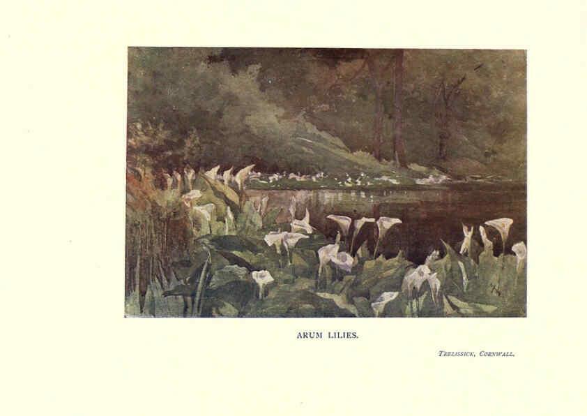 Reproducción/Reproduction 6286310634: Garden colour London,E. P. Dutton & company,1905