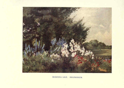Reproducción/Reproduction 6285789767: Garden colour London,E. P. Dutton & company,1905