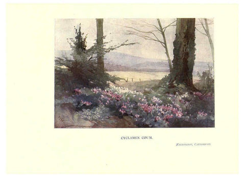 Reproducción/Reproduction 6285787127: Garden colour London,E. P. Dutton & company,1905