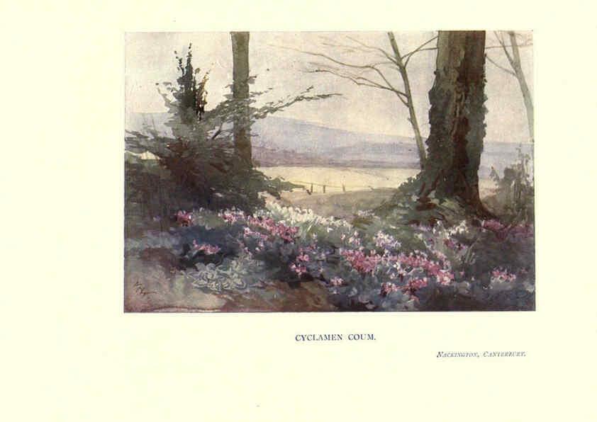 Reproducción/Reproduction 6285787127: Garden colour London,E. P. Dutton & company,1905