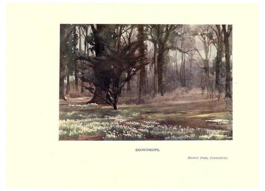 Reproducción/Reproduction 6285786991: Garden colour London,E. P. Dutton & company,1905