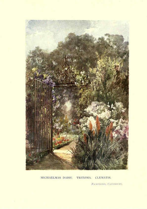 Reproducción/Reproduction 6286307634: Garden colour London,E. P. Dutton & company,1905