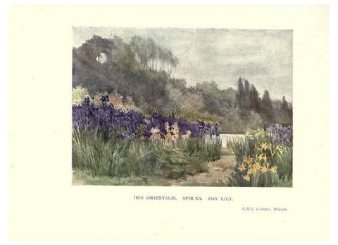 Reproducción/Reproduction 6285790533: Garden colour London,E. P. Dutton & company,1905