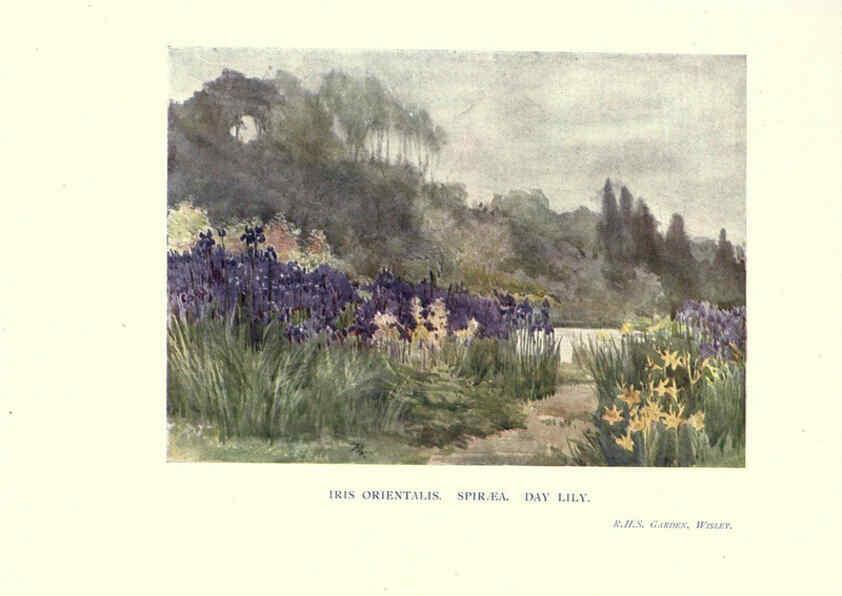 Reproducción/Reproduction 6285790533: Garden colour London,E. P. Dutton & company,1905