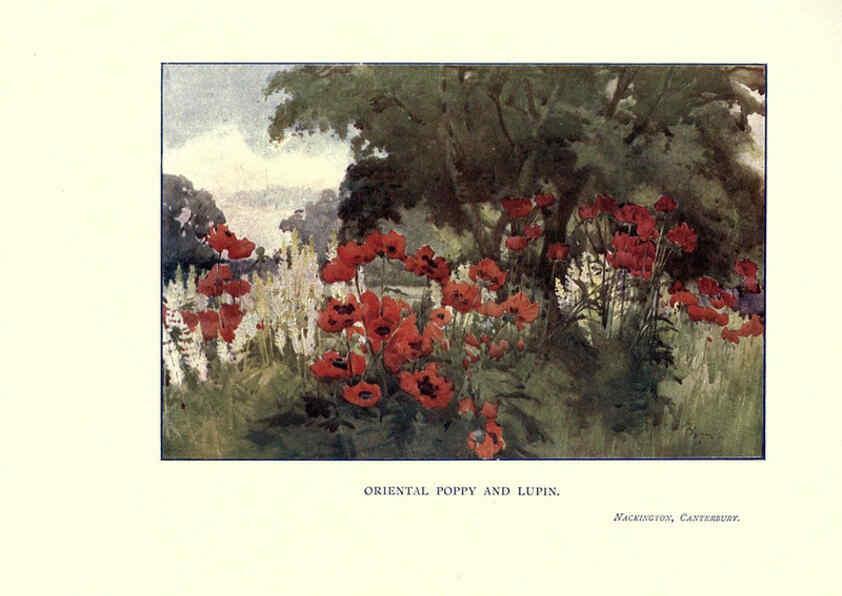 Reproducción/Reproduction 6285790859: Garden colour London,E. P. Dutton & company,1905