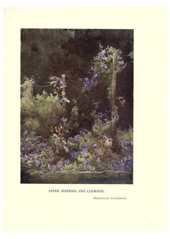 Reproducción/Reproduction 6285795591: Garden colour London,E. P. Dutton & company,1905