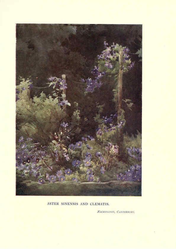 Reproducción/Reproduction 6285795591: Garden colour London,E. P. Dutton & company,1905