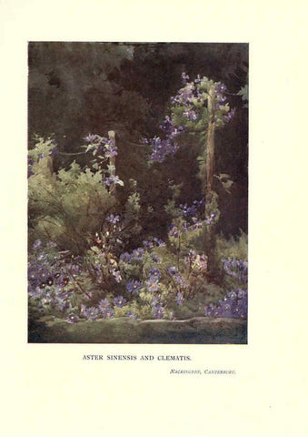 Reproducción/Reproduction 6285795591: Garden colour London,E. P. Dutton & company,1905