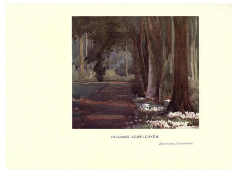 Reproducción/Reproduction 6286316860: Garden colour London,E. P. Dutton & company,1905