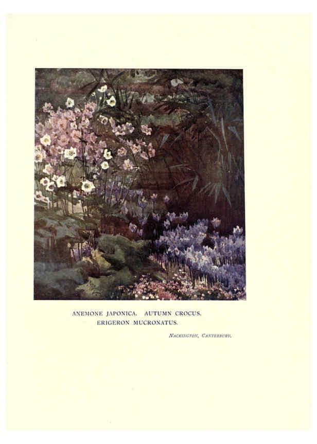 Reproducción/Reproduction 6286317014: Garden colour London,E. P. Dutton & company,1905