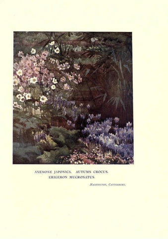 Reproducción/Reproduction 6286317014: Garden colour London,E. P. Dutton & company,1905