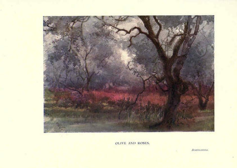 Reproducción/Reproduction 6286317698: Garden colour London,E. P. Dutton & company,1905