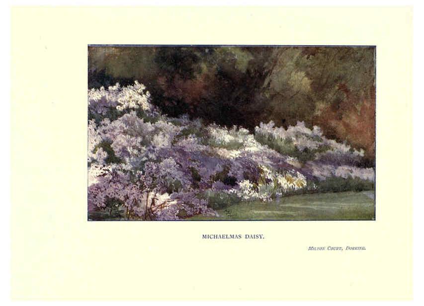 Reproducción/Reproduction 6286316332: Garden colour London,E. P. Dutton & company,1905