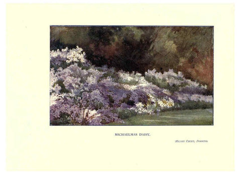 Reproducción/Reproduction 6286316332: Garden colour London,E. P. Dutton & company,1905