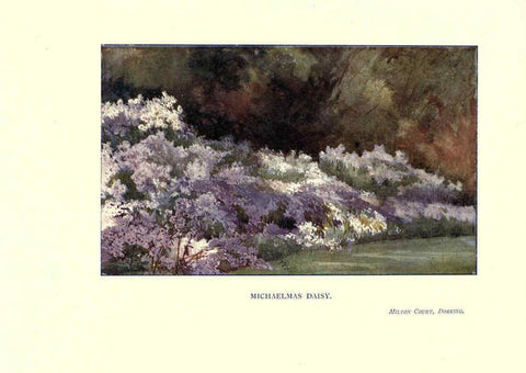 Reproducción/Reproduction 6286316332: Garden colour London,E. P. Dutton & company,1905