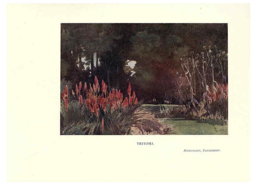 Reproducción/Reproduction 6285794693: Garden colour London,E. P. Dutton & company,1905