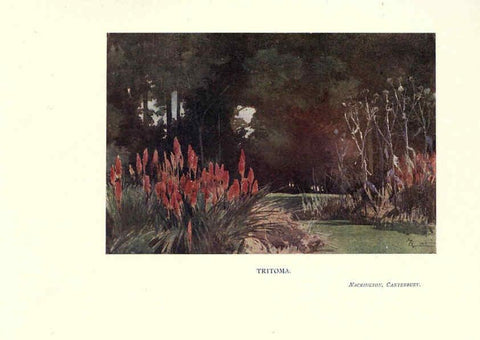 Reproducción/Reproduction 6285794693: Garden colour London,E. P. Dutton & company,1905