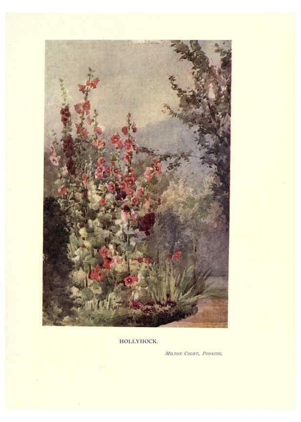 Reproducción/Reproduction 6286315522: Garden colour London,E. P. Dutton & company,1905