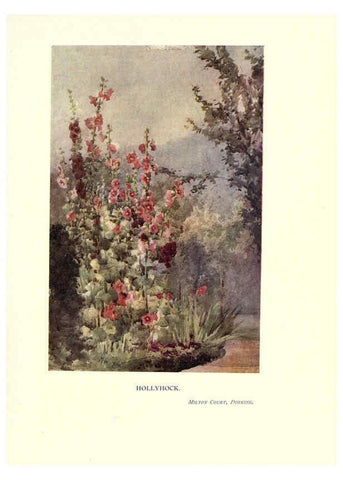 Reproducción/Reproduction 6286315522: Garden colour London,E. P. Dutton & company,1905