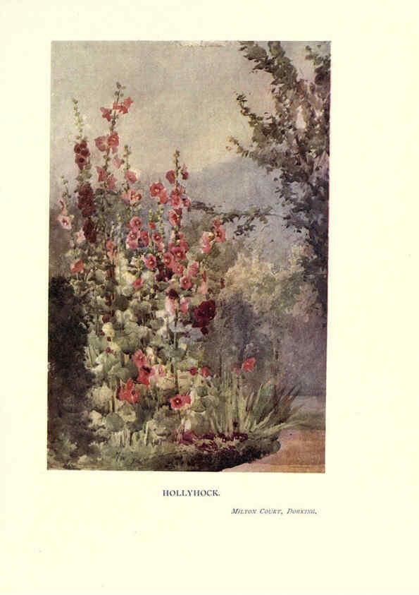 Reproducción/Reproduction 6286315522: Garden colour London,E. P. Dutton & company,1905