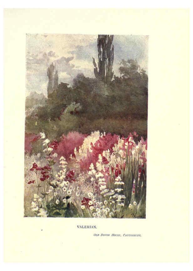 Reproducción/Reproduction 6285791031: Garden colour London,E. P. Dutton & company,1905